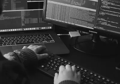 Quokka School | Szkoła programowania